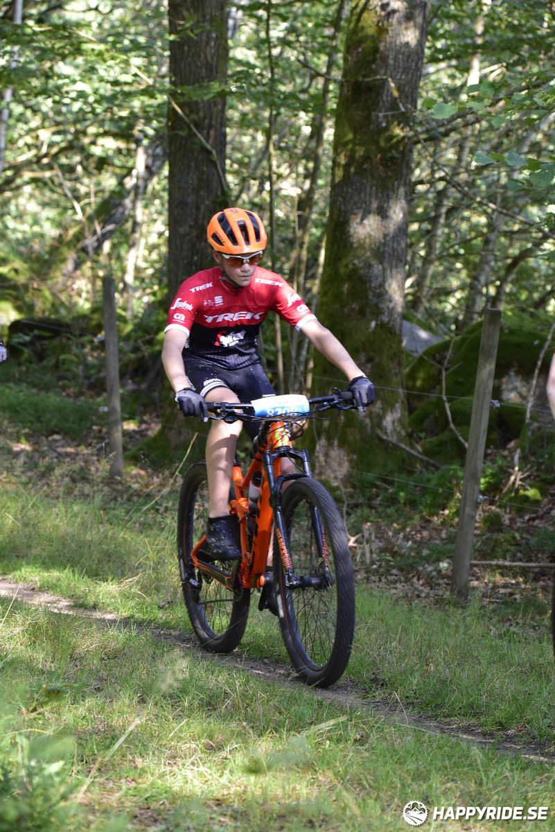 Bild från Bockstensturen 2019